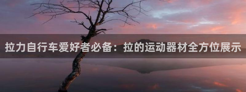 凯捷体育平台注册：拉力自行车爱好者必备：拉的运动器材