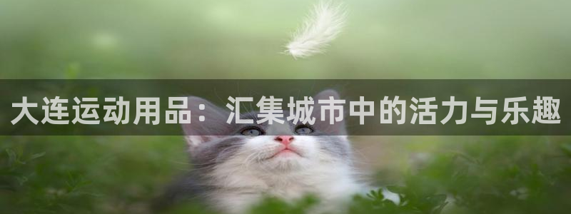 凯捷体育平台假的吗是真的吗：大连运动用品：汇集城市中