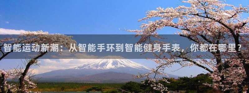 凯捷体育平台注册要钱吗是真的吗：智能运动新潮：从智能