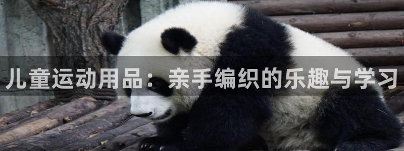 海南凯捷体育发展怎么样：儿童运动用品：亲手编织的乐趣