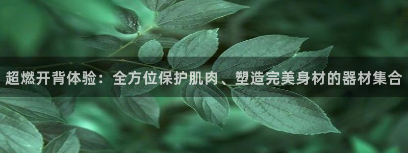 凯捷体育平台注册流程图：超燃开背体验：全方位保护肌肉