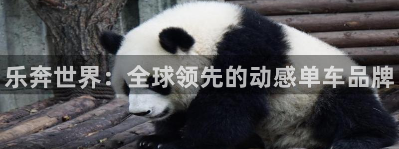凯捷体育软件：乐奔世界：全球领先的动感单车品牌
