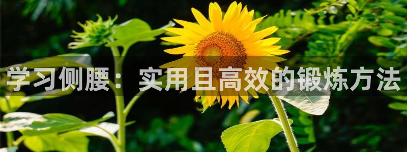 德国凯捷体育集团
