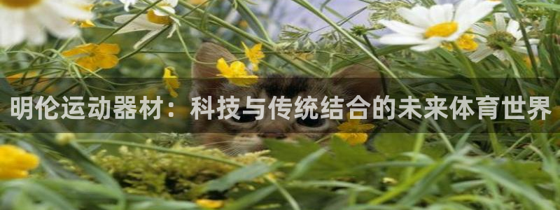 凯捷体育招商电话：明伦运动器材：科技与传统结合的未来