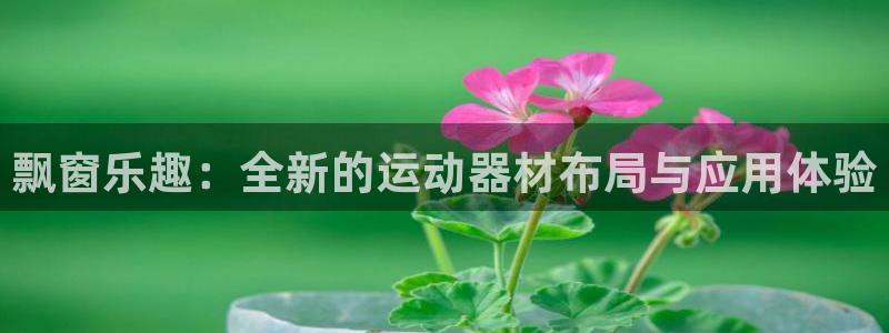 凯捷体育平台注册流程视频：飘窗乐趣：全新的运动器材布