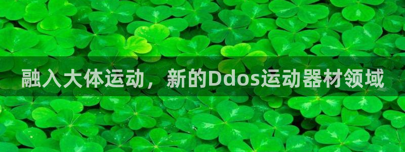 凯捷体育招商电话地址查询