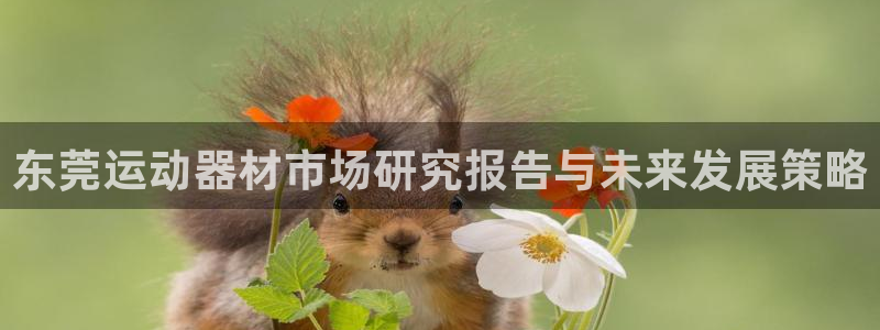 凯捷体育平台是正规平台吗安全吗：东莞运动器材市场研究