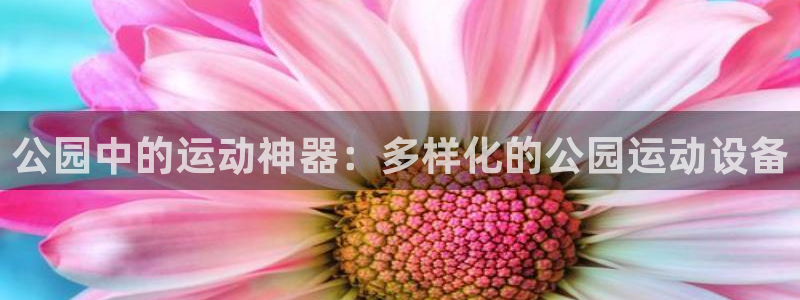 凯捷体育平台注册：公园中的运动神器：多样化的公园运动