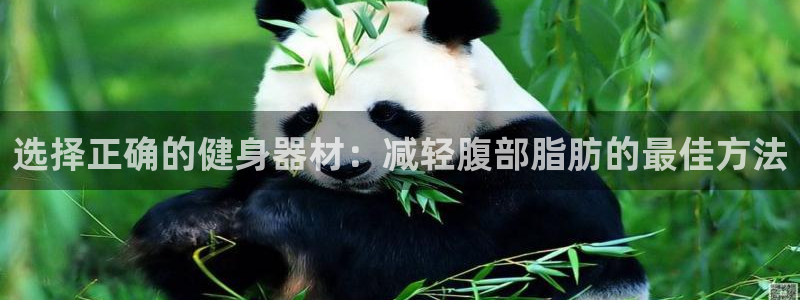 凯捷体育招商电话号码查询是多少：选择正确的健身器材：