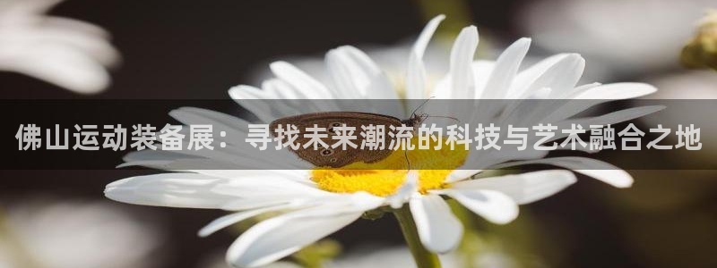 凯捷体育平台注册流程视频：佛山运动装备展：寻找未来潮流的科技