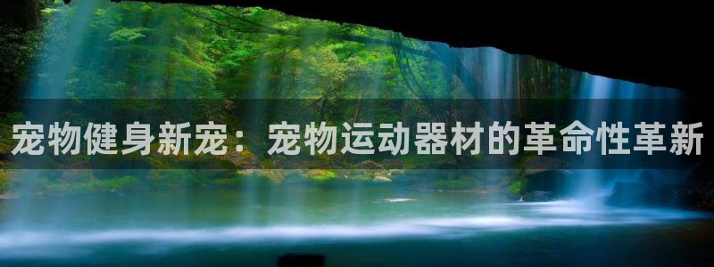 凯捷体育科技：宠物健身新宠：宠物运动器材的革命性革新