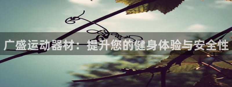 德国凯捷体育集团：广盛运动器材：提升您的健身体验与安