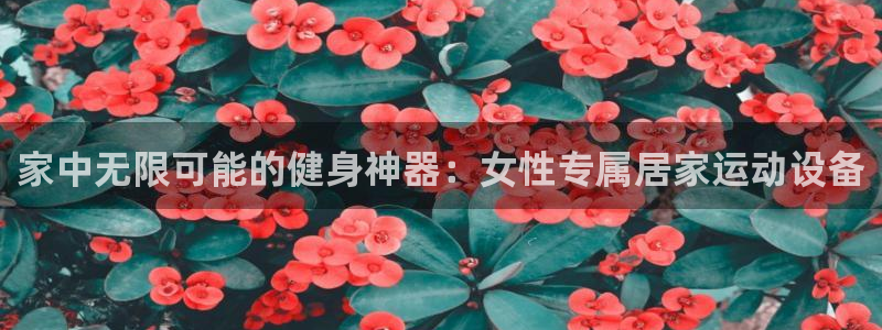 凯捷体育平台是正规平台吗：家中无限可能的健身神器：女