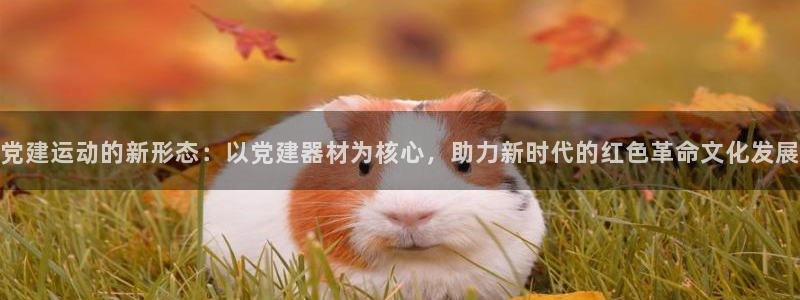 凯捷体育平台是正规平台吗知乎：党建运动的新形态：以党建器材为
