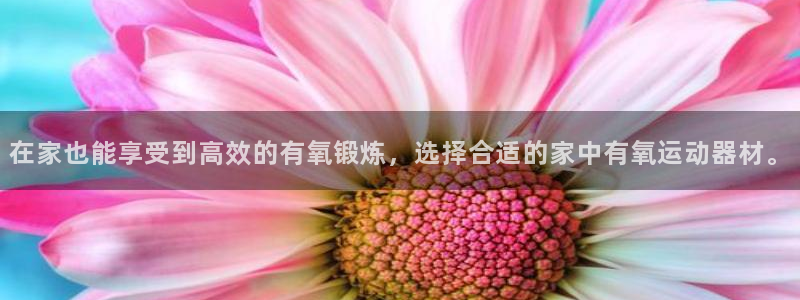 海南凯捷体育发展怎么样：在家也能享受到高效的有氧锻炼
