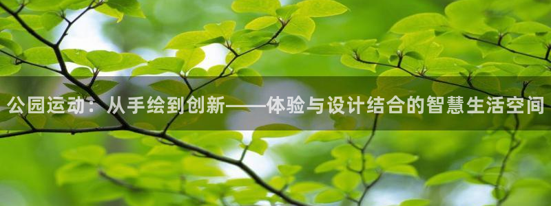 意昂集团官网：公园运动：从手绘到创新——体验与设计结