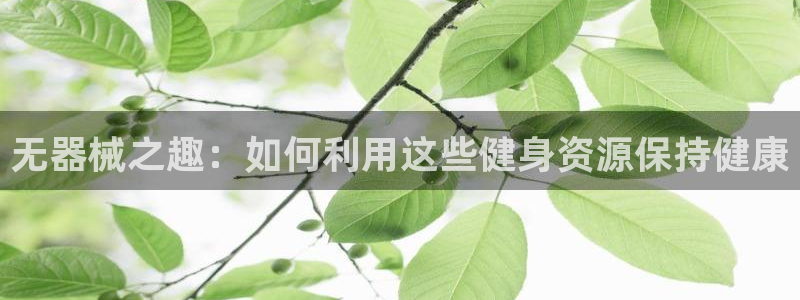 凯捷体育招商电话号码是多少：无器械之趣：如何利用这些