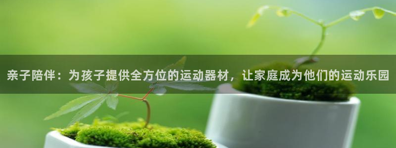 凯捷体育官方：亲子陪伴：为孩子提供全方位的运动器材，