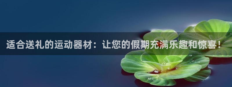 凯捷体育平台：适合送礼的运动器材：让您的假期充满乐趣
