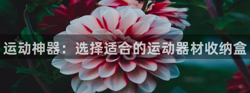 凯捷体育招商电话是多少啊：运动神器：选择适合的运动器材收纳盒