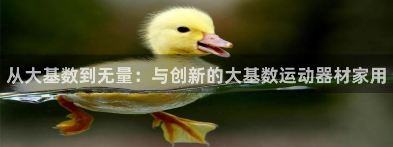 凯捷体育招商电话地址是多少：从大基数到无量：与创新的