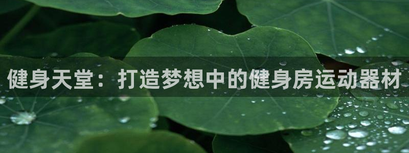 凯捷体育招商电话号码是多少号