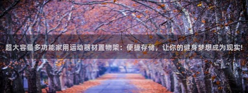 凯捷体育平台是正规平台吗：超大容量多功能家用运动器材置物架：