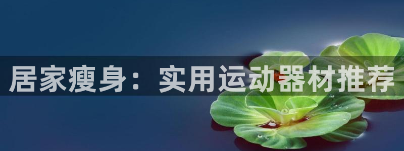 凯捷体育集团简介：居家瘦身：实用运动器材推荐
