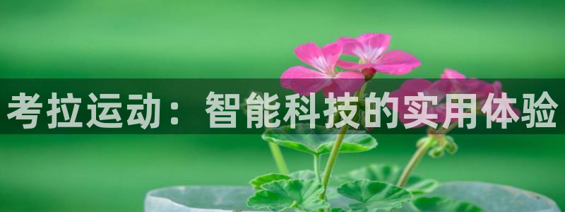凯捷体育娱乐：考拉运动：智能科技的实用体验