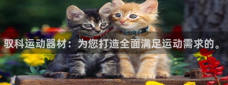 凯捷体育招商电话是多少啊：驭科运动器材：为您打造全面满足运动