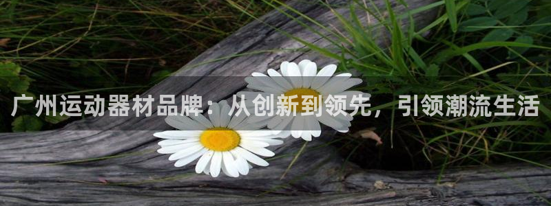 凯捷体育平台注册流程图：广州运动器材品牌：从创新到领