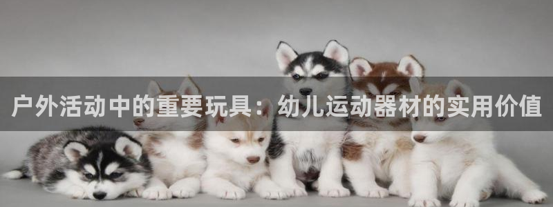 凯捷体育平台假的吗是真的吗：户外活动中的重要玩具：幼