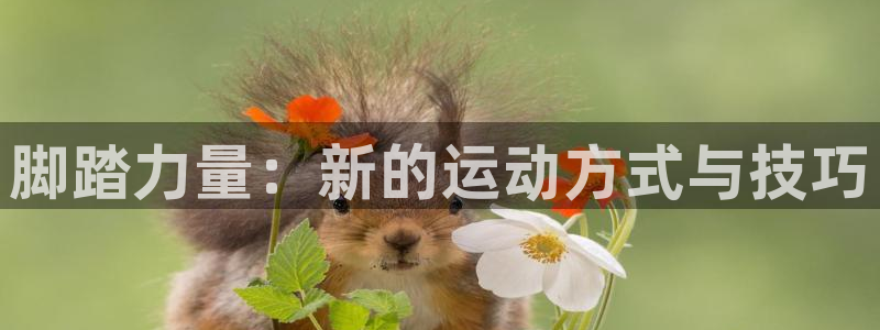 凯捷体育新能源：脚踏力量：新的运动方式与技巧