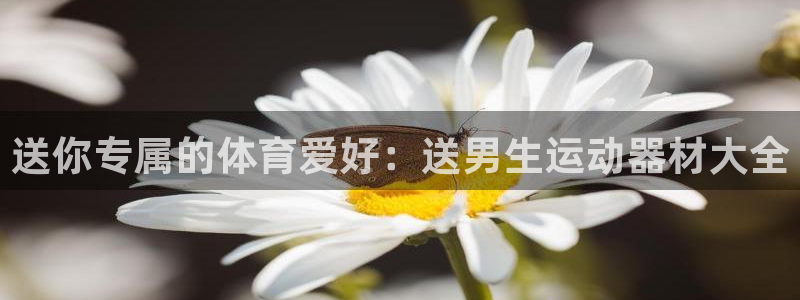 凯捷体育招商电话是多少：送你专属的体育爱好：送男生运
