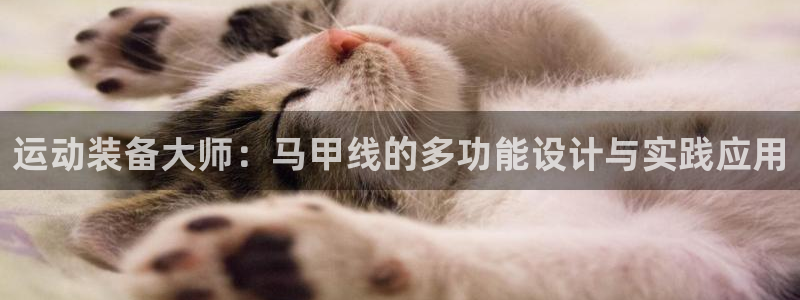 凯捷体育：运动装备大师：马甲线的多功能设计与实践应用