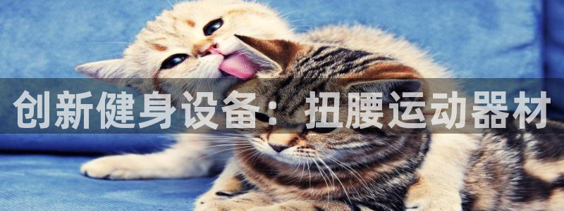 凯捷体育招商电话：创新健身设备：扭腰运动器材