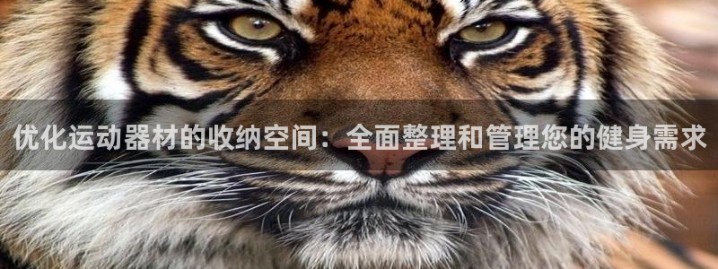 凯捷体育注册：优化运动器材的收纳空间：全面整理和管理