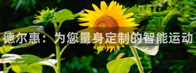 凯捷体育娱乐代理怎么样：德尔惠：为您量身定制的智能运