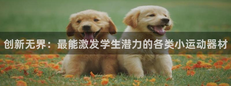 凯捷体育招商：创新无界：最能激发学生潜力的各类小运动
