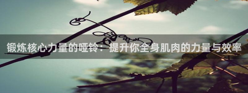 凯捷体育平台注册：锻炼核心力量的哑铃：提升你全身肌肉