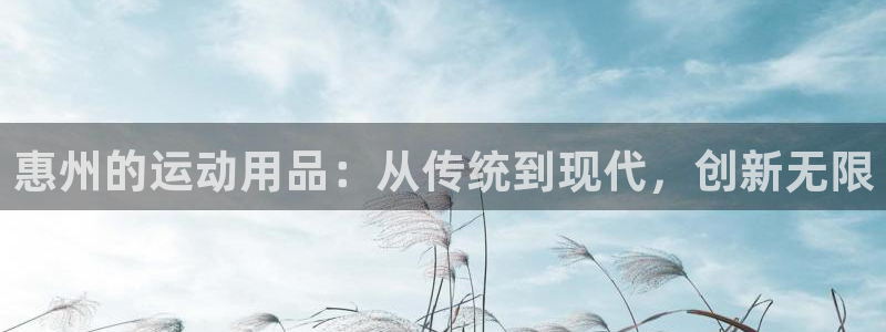凯捷体育是干嘛的公司：惠州的运动用品：从传统到现代，