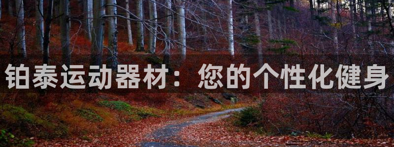 凯捷体育平台假的吗是真的吗：铂泰运动器材：您的个性化健身