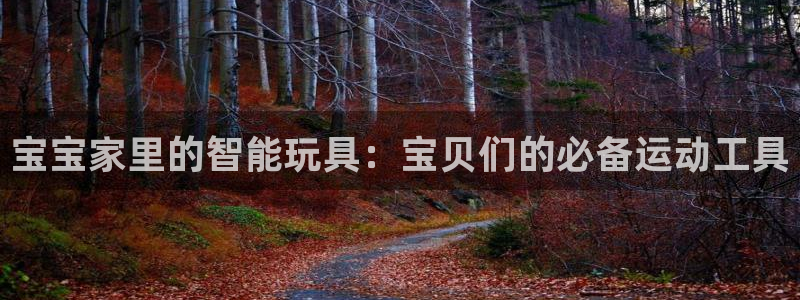 凯捷体育招商电话地址：宝宝家里的智能玩具：宝贝们的必备运动工