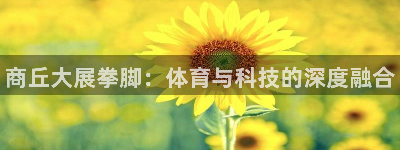凯捷体育娱乐代理怎么样