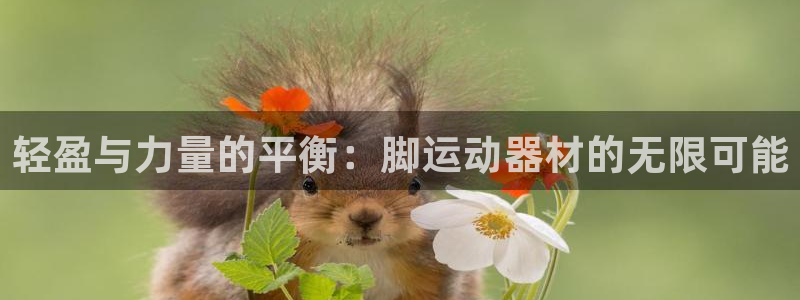 凯捷体育集团官网首页网址：轻盈与力量的平衡：脚运动器材的无限