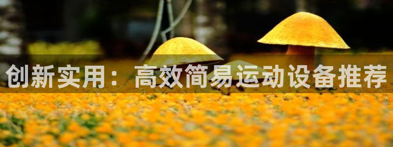 凯捷体育集团：创新实用：高效简易运动设备推荐