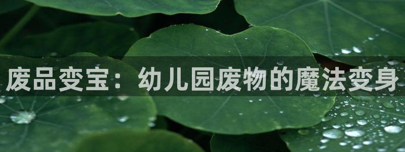 凯捷体育平台是正规平台吗知乎：废品变宝：幼儿园废物的
