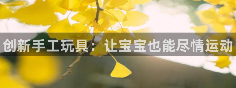 凯捷体育招商电话号码：创新手工玩具：让宝宝也能尽情运