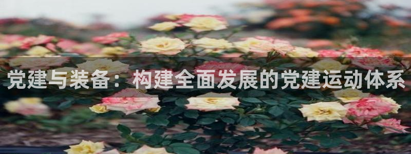 凯捷体育科技：党建与装备：构建全面发展的党建运动体系