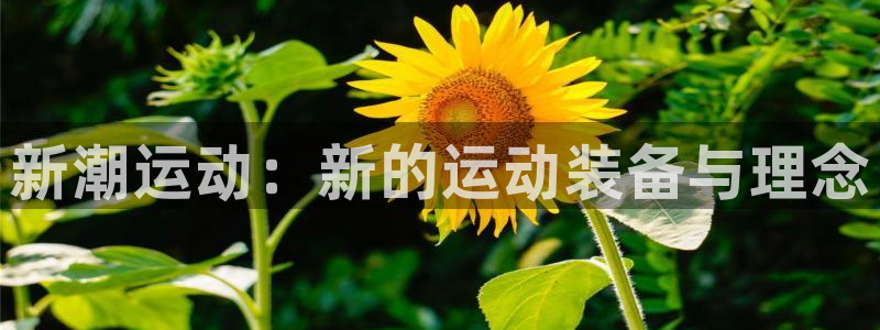 凯捷体育平台注册要钱吗：新潮运动：新的运动装备与理念